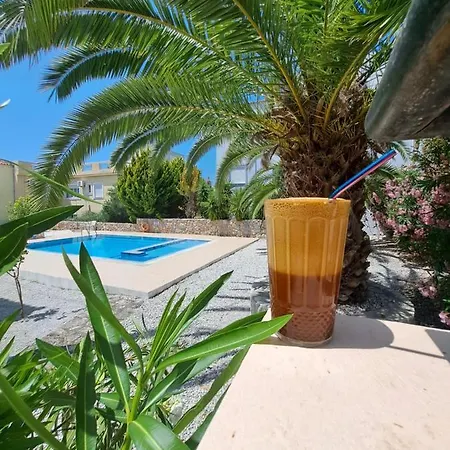 Palm Tree *