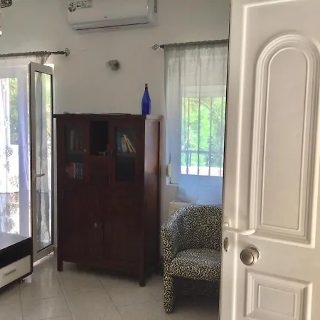 Villa Palm Tree Almirida